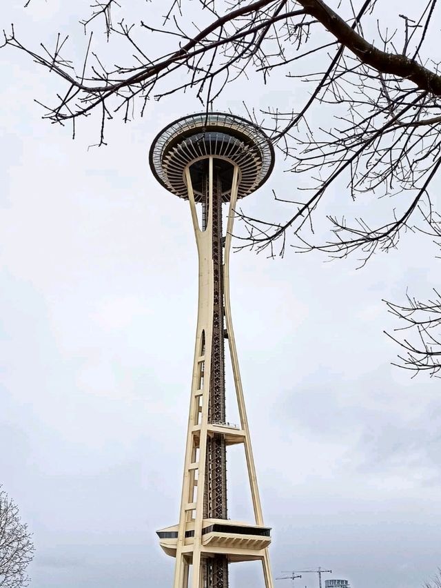 Space Needle & The Seattle Eye,  the city from above