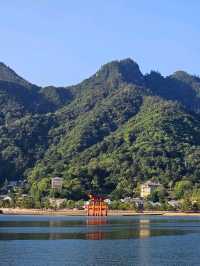 ⛩️ Miyajima Island Day Trip: Floating Torii Gate & Local Culture