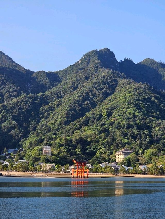 ⛩️ Miyajima Island Day Trip: Floating Torii Gate & Local Culture