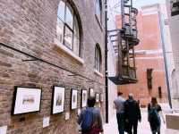 🎨🧵 Free Museum Day at the V&A London — Art, Fashion & Design Without Spending a Pound!