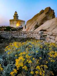 🌊 Capo Testa: Sardinia’s Wind-Carved Peninsula of Wild Beauty 🇮🇹✨