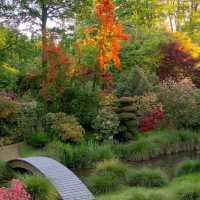 🌿 Botanic Garden of Brittany: A Peaceful Green Escape 🇫🇷✨
