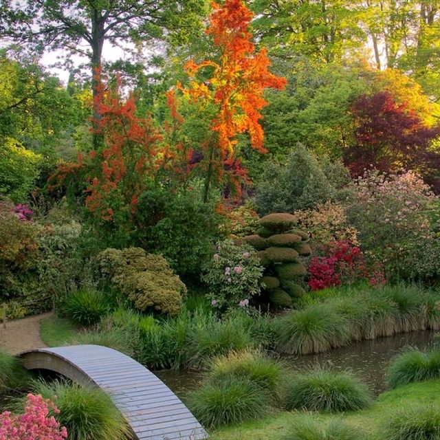 🌿 Botanic Garden of Brittany: A Peaceful Green Escape 🇫🇷✨