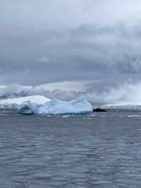 Whale Spotting in ANTARCTICA ❄️🐋