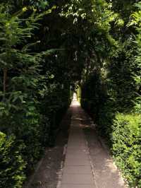 Valencia’s Secret Garden Escape 🌿✨