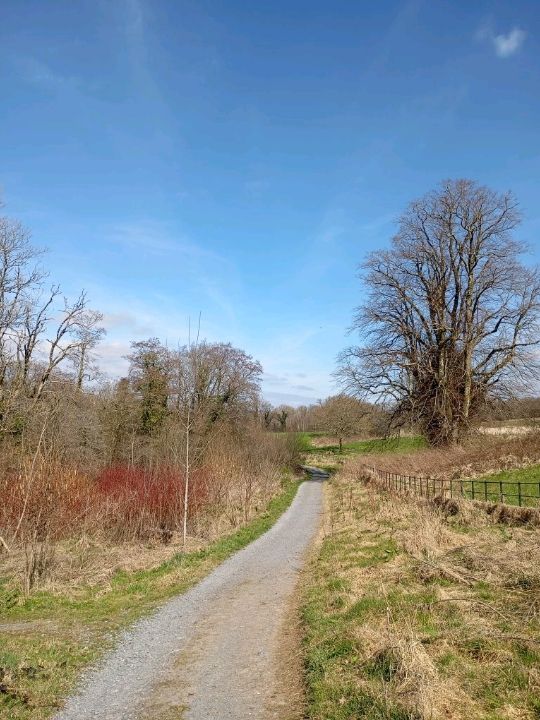 The National Botanic gardens of Wales