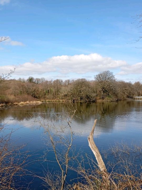 The National Botanic gardens of Wales