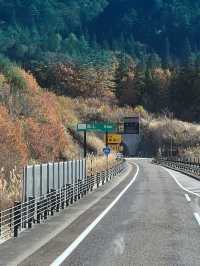 Nagoya to Takayama & Shirakawa-go 🏯🌿Day dream trip