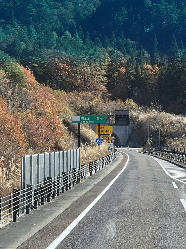 Nagoya to Takayama & Shirakawa-go 🏯🌿Day dream trip