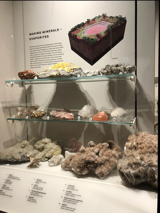 💎 Step Into a World of Sparkle at the Australian Museum, Sydney 💫
