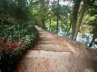 Bois de Boulogne: Must-Do Activities & Halloween Fun 🎃🌳