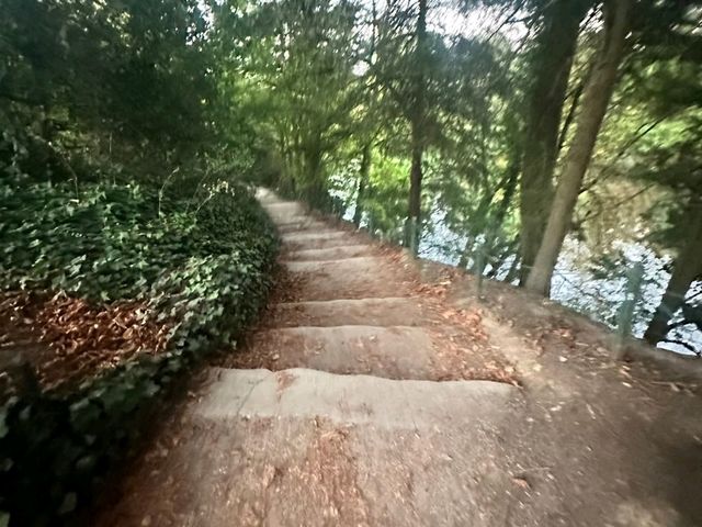 Bois de Boulogne: Must-Do Activities & Halloween Fun 🎃🌳 Bois de Boulogne: Must-Do Activities & Halloween Fun 🎃🌳