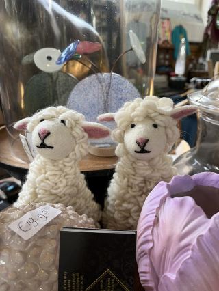 Farm Trip to Grou and Terherne🥕🍓🚲