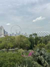 💮 🌿✨ Gardens by the Bay -Daytime