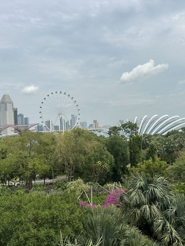 💮 🌿✨ Gardens by the Bay -Daytime