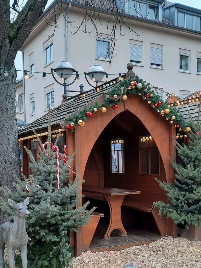 Winter Market Magic🎄 Winter Market Magic🎄