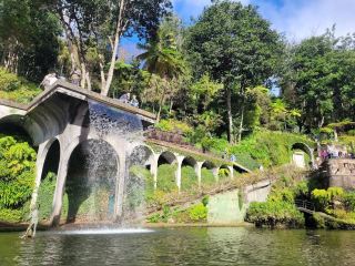 สวนมอนเตพาเลซ มาเดรา