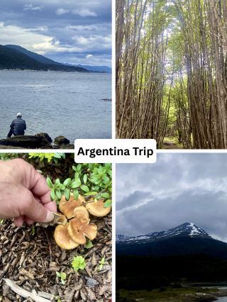 ผ่านอุทยานแห่งชาติโลส คาร์โดเนส