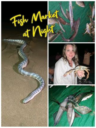 아람볼의 저녁: 어부, 신선한 해산물, 그리고 바다뱀。