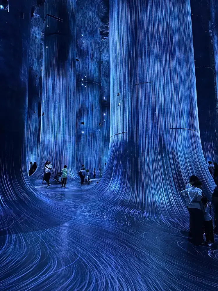 아부다비 팀랩(TeamLab)! 。