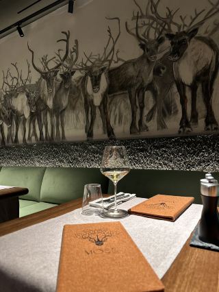 MOSS — When the North Speaks the Language of Taste 🦌 Murmansk