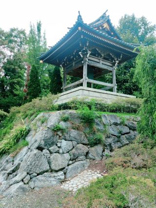 ここがデュッセルドルフだなんて信じられない！ドイツで見つけた小さな日本 🇯🇵🌸