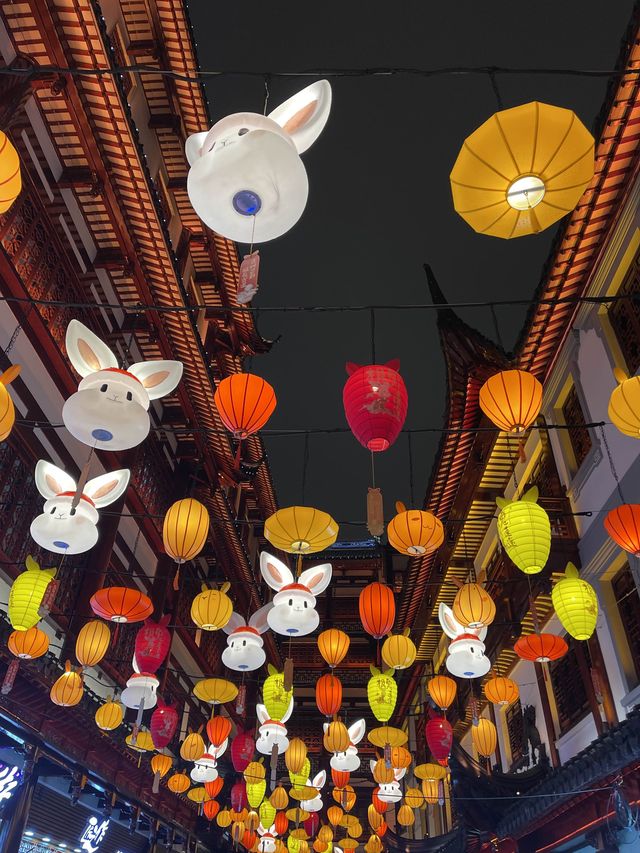 Celebrate CNY @Yu Garden 