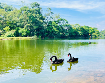 São Paulo · Ibirapuera Park