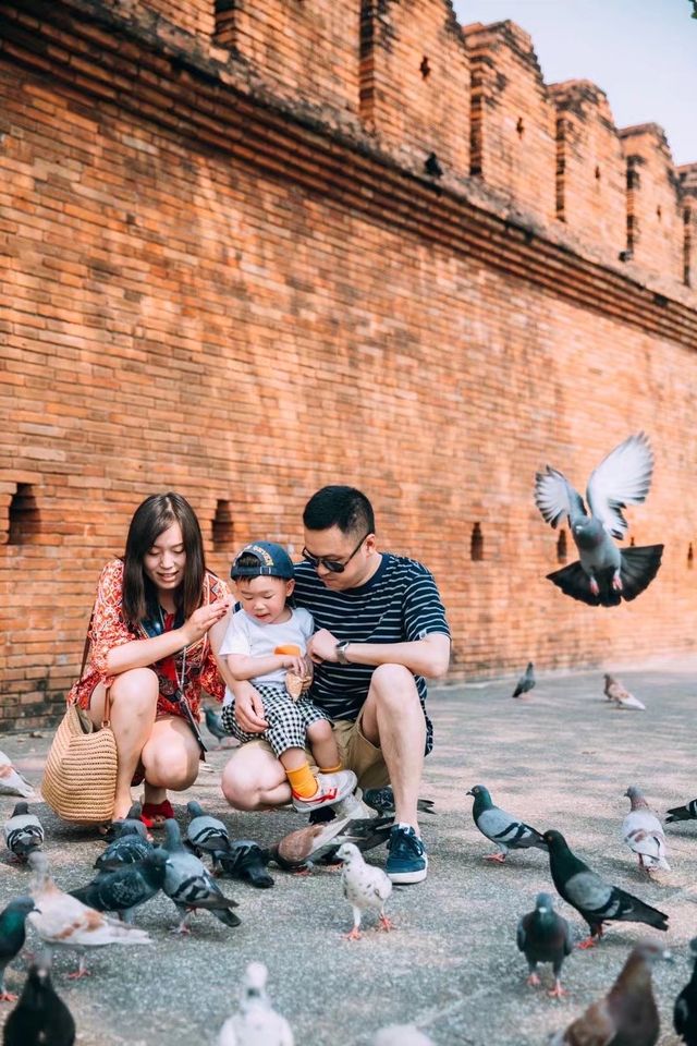 The red walls and pigeons of Tappehmen.