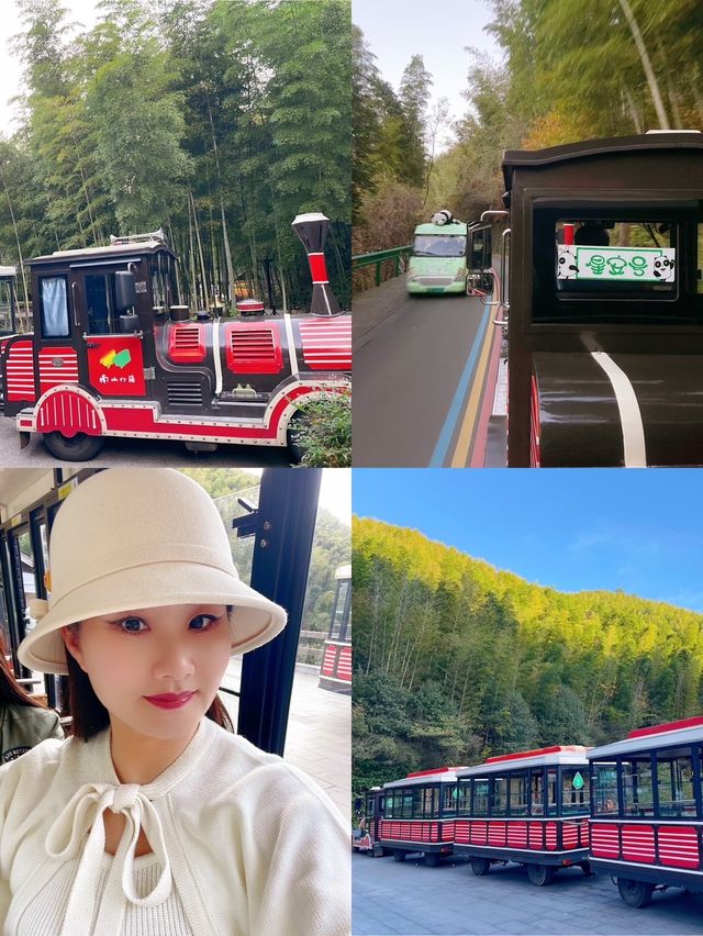 南山竹海賞秋乘網紅火車看大熊貓