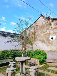 走進千年古村——慈溪方家河頭村!