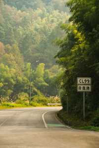你會騎車嗎？安吉絕美的騎行路線