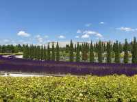 Best City Park in Eurasia