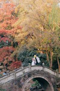 發現上海｜奉賢古華園，這裡的紅葉也很美