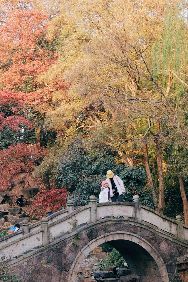 發現上海｜奉賢古華園，這裡的紅葉也很美