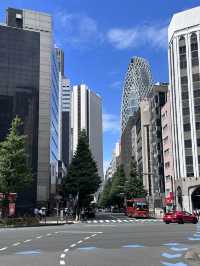 Tokyo, trip of a lifetime. A dream come true