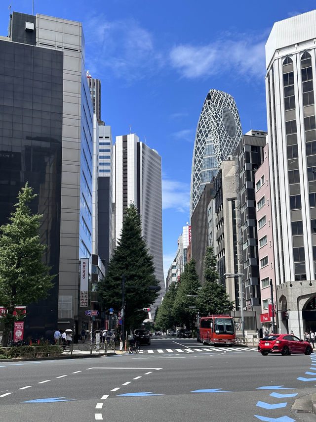 Tokyo, trip of a lifetime. A dream come true