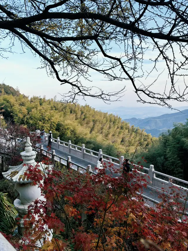 京都に行けないわけではない、径山がコストパフォーマンスが高いからだ