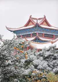 在合肥,總要去開福寺看一場初雪吧