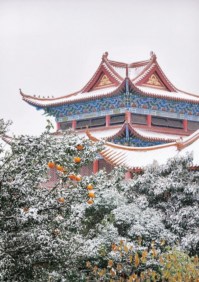 在合肥,總要去開福寺看一場初雪吧 在合肥,總要去開福寺看一場初雪吧