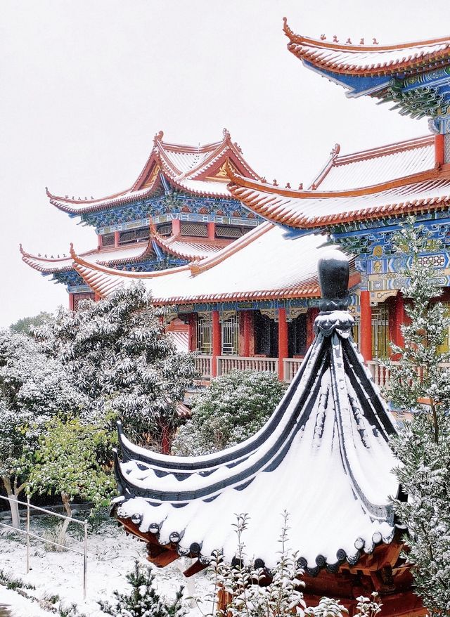 在合肥,總要去開福寺看一場初雪吧 在合肥,總要去開福寺看一場初雪吧