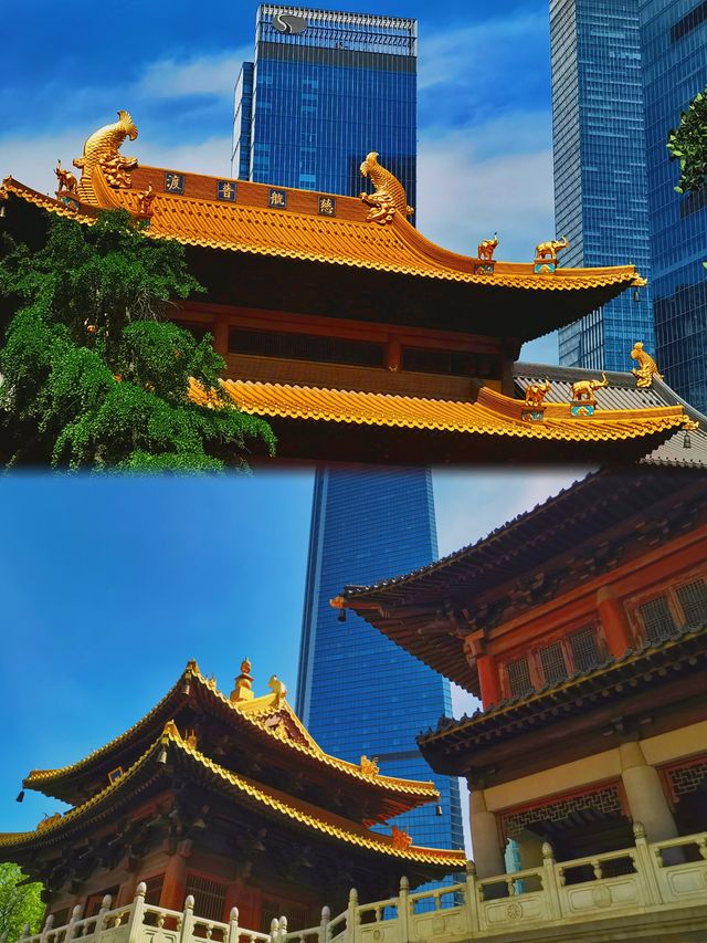 在全國醉貴的寺廟燒幾十塊的香，許幾千萬的願！