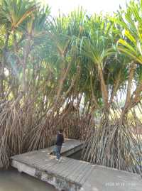 西雙版納中科院植物園，告莊出發攻略