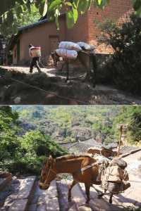 諾鄧•《蠻書》裡同名的千年古村•一個至今都活著的古村