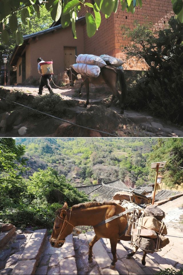 諾鄧•《蠻書》裡同名的千年古村•一個至今都活著的古村 諾鄧•《蠻書》裡同名的千年古村•一個至今都活著的古村