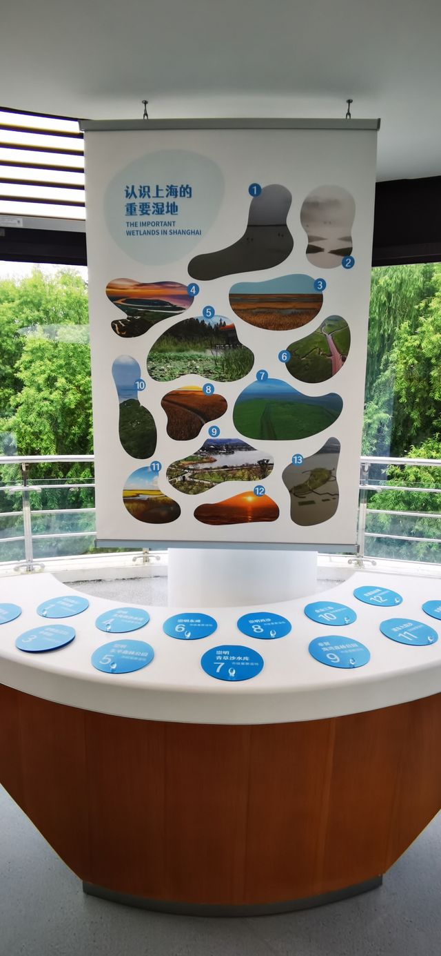 金海濕地科普館:上海市內首座城市濕地科普館 金海濕地科普館:上海市內首座城市濕地科普館
