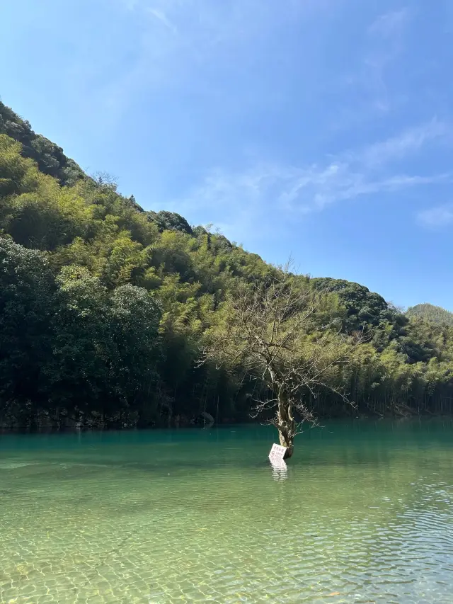 宣城治癒系的風景