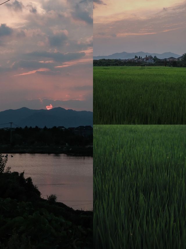 杭州坐船3分鐘，就能承包整個海島