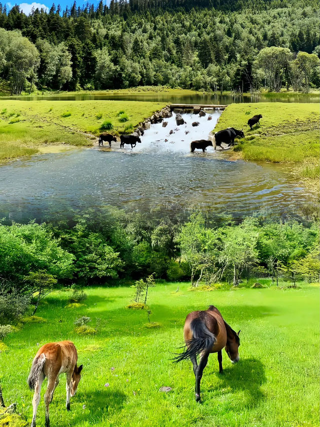 青山綠水，水天一色