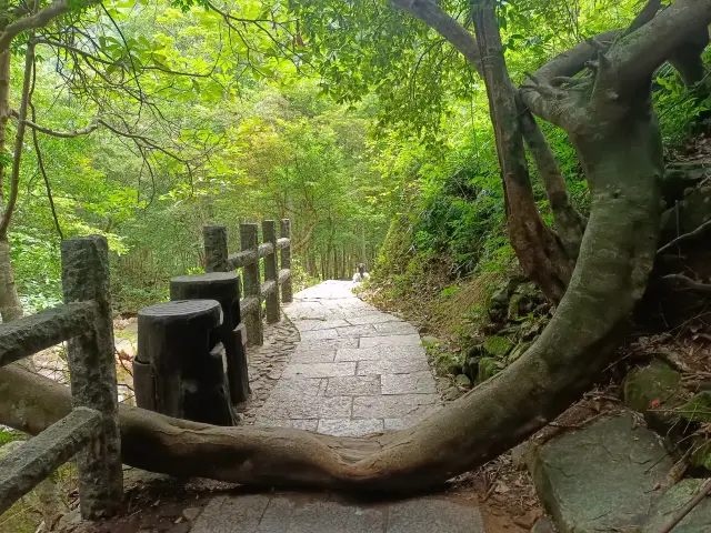 姑婆山位於廣西東北部；湘、桂、粵三省交界處的萌諸嶺南端廣西賀州市境內，距市區（八步）中心僅26公里，地處香港--廣州--桂林黃金旅遊線中間站上，總面積8000公頃，具有峰高谷深、山勢雄偉、森林繁茂、動植物資源豐富、瀑飛溪潺、環境幽雅等特點，集“雄、奇、秀、幽”於一體，兼有山水型、城郊型公園之特點